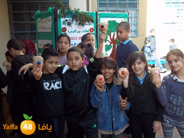 treesnewzahra2 (11).jpg